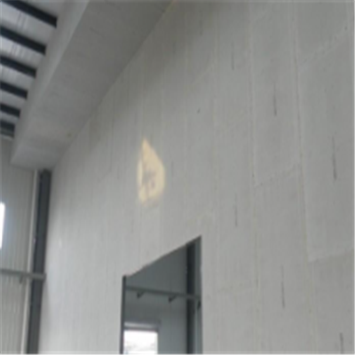 万载宁波ALC板|EPS加气板隔墙与混凝土整浇联接的实验研讨